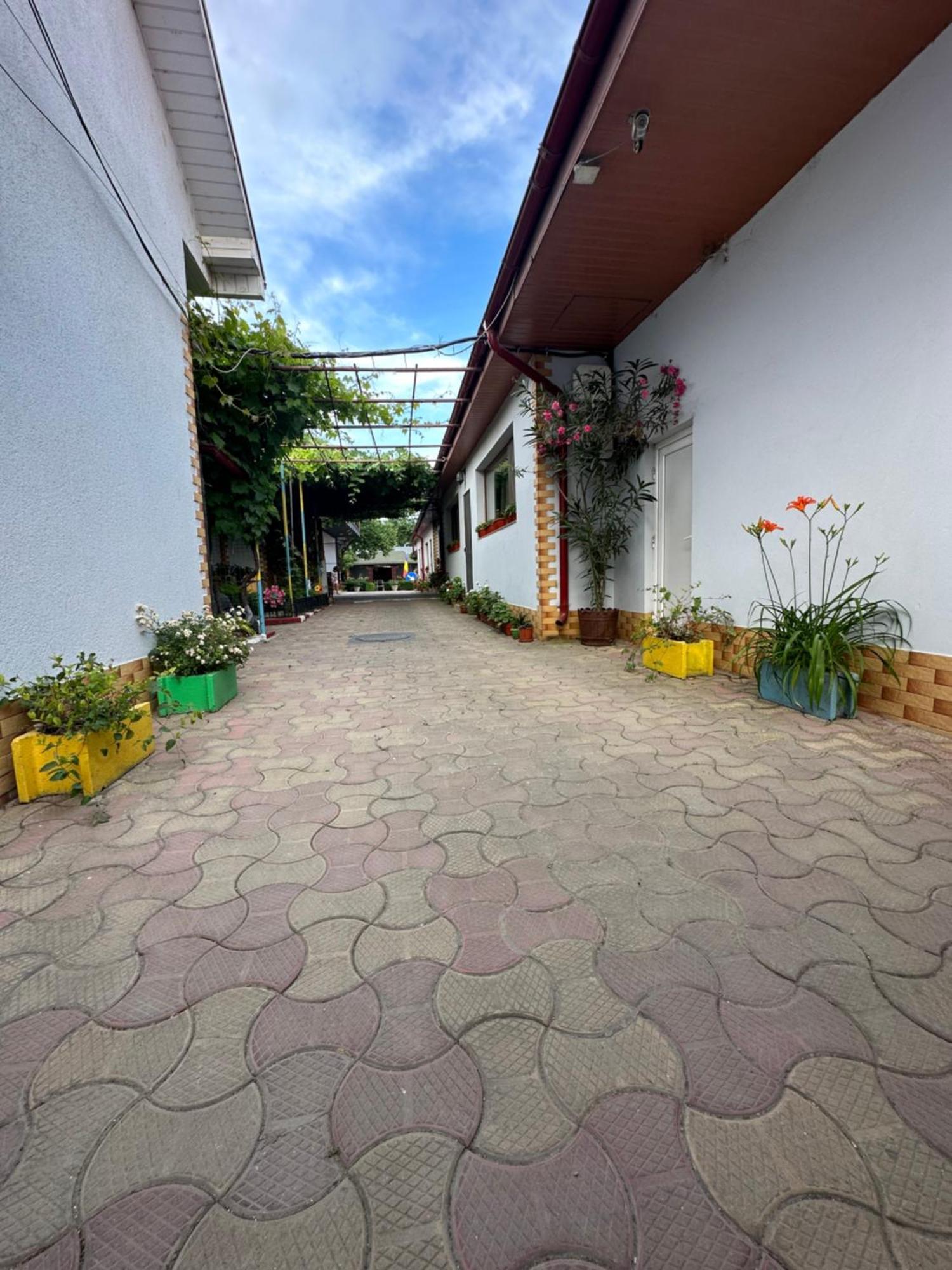 Casa Cu Flori Corbu Hotel Corbu  Exterior photo